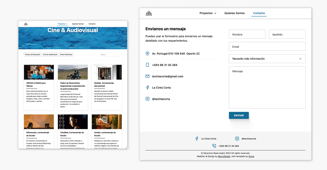 Samples of the website