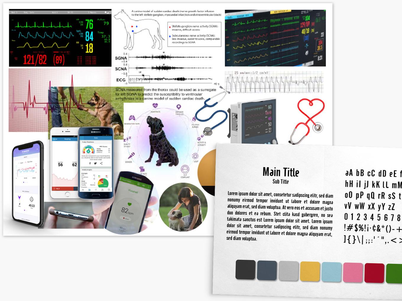 Moodboards, typographic and colors selections